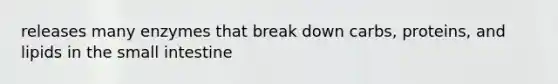 releases many enzymes that break down carbs, proteins, and lipids in the small intestine