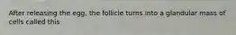 After releasing the egg, the follicle turns into a glandular mass of cells called this