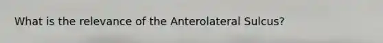 What is the relevance of the Anterolateral Sulcus?