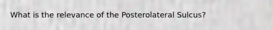 What is the relevance of the Posterolateral Sulcus?