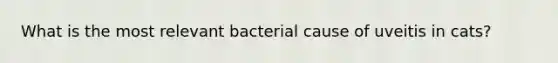 What is the most relevant bacterial cause of uveitis in cats?