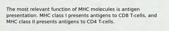 The most relevant function of MHC molecules is antigen presentation. MHC class I presents antigens to CD8 T-cells, and MHC class II presents antigens to CD4 T-cells.