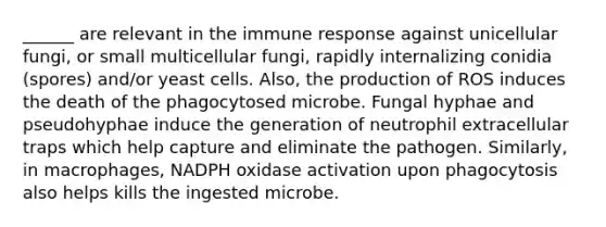 ______ are relevant in the immune response against unicellular fungi, or small multicellular fungi, rapidly internalizing conidia (spores) and/or yeast cells. Also, the production of ROS induces the death of the phagocytosed microbe. Fungal hyphae and pseudohyphae induce the generation of neutrophil extracellular traps which help capture and eliminate the pathogen. Similarly, in macrophages, NADPH oxidase activation upon phagocytosis also helps kills the ingested microbe.