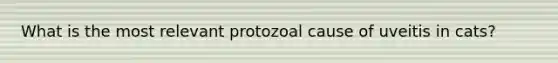 What is the most relevant protozoal cause of uveitis in cats?