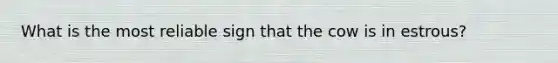 What is the most reliable sign that the cow is in estrous?