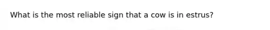 What is the most reliable sign that a cow is in estrus?