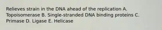 Relieves strain in the DNA ahead of the replication A. Topoisomerase B. Single-stranded DNA binding proteins C. Primase D. Ligase E. Helicase