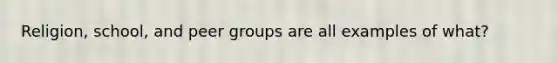 Religion, school, and peer groups are all examples of what?