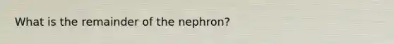 What is the remainder of the nephron?