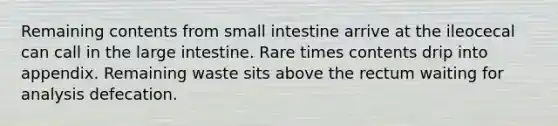 Remaining contents from small intestine arrive at the ileocecal can call in the large intestine. Rare times contents drip into appendix. Remaining waste sits above the rectum waiting for analysis defecation.