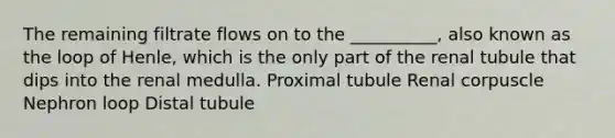 The remaining filtrate flows on to the __________, also known as the loop of Henle, which is the only part of the renal tubule that dips into the renal medulla. Proximal tubule Renal corpuscle Nephron loop Distal tubule