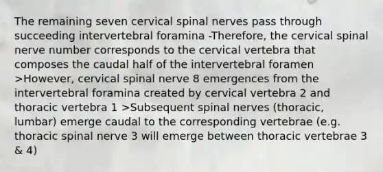 The remaining seven cervical <a href='https://www.questionai.com/knowledge/kyBL1dWgAx-spinal-nerves' class='anchor-knowledge'>spinal nerves</a> pass through succeeding intervertebral foramina -Therefore, the cervical spinal nerve number corresponds to the cervical vertebra that composes the caudal half of the intervertebral foramen >However, cervical spinal nerve 8 emergences from the intervertebral foramina created by cervical vertebra 2 and thoracic vertebra 1 >Subsequent spinal nerves (thoracic, lumbar) emerge caudal to the corresponding vertebrae (e.g. thoracic spinal nerve 3 will emerge between thoracic vertebrae 3 & 4)