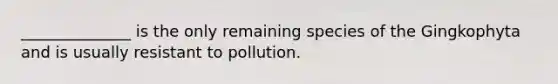 ______________ is the only remaining species of the Gingkophyta and is usually resistant to pollution.