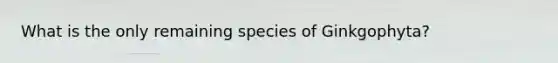 What is the only remaining species of Ginkgophyta?