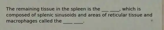 The remaining tissue in the spleen is the ___ ____, which is composed of splenic sinusoids and areas of reticular tissue and macrophages called the ____ ____.