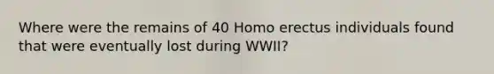 Where were the remains of 40 Homo erectus individuals found that were eventually lost during WWII?