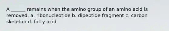 A ______ remains when the amino group of an amino acid is removed. a. ribonucleotide b. dipeptide fragment c. carbon skeleton d. fatty acid