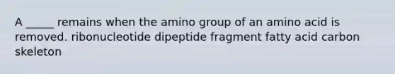 A _____ remains when the amino group of an amino acid is removed. ribonucleotide dipeptide fragment fatty acid carbon skeleton