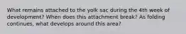 What remains attached to the yolk sac during the 4th week of development? When does this attachment break? As folding continues, what develops around this area?