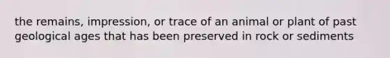 the remains, impression, or trace of an animal or plant of past geological ages that has been preserved in rock or sediments