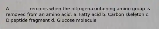 A ________ remains when the nitrogen-containing amino group is removed from an amino acid. a. Fatty acid b. Carbon skeleton c. Dipeptide fragment d. Glucose molecule