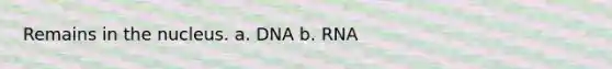 Remains in the nucleus. a. DNA b. RNA