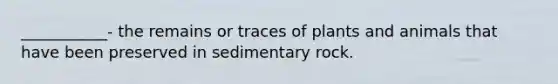 ___________- the remains or traces of plants and animals that have been preserved in sedimentary rock.