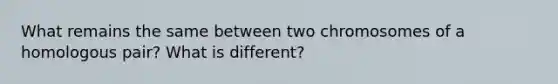 What remains the same between two chromosomes of a homologous pair? What is different?