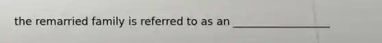 the remarried family is referred to as an __________________