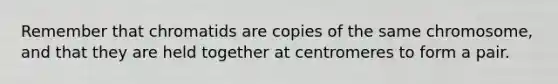 Remember that chromatids are copies of the same chromosome, and that they are held together at centromeres to form a pair.