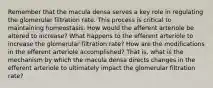 Remember that the macula densa serves a key role in regulating the glomerular filtration rate. This process is critical to maintaining homeostasis. How would the afferent arteriole be altered to increase? What happens to the efferent arteriole to increase the glomerular filtration rate? How are the modifications in the efferent arteriole accomplished? That is, what is the mechanism by which the macula densa directs changes in the efferent arteriole to ultimately impact the glomerular filtration rate?