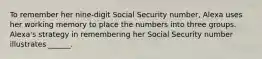 To remember her nine-digit Social Security number, Alexa uses her working memory to place the numbers into three groups. Alexa's strategy in remembering her Social Security number illustrates ______.