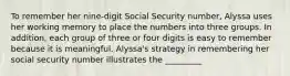 To remember her nine-digit Social Security number, Alyssa uses her working memory to place the numbers into three groups. In addition, each group of three or four digits is easy to remember because it is meaningful. Alyssa's strategy in remembering her social security number illustrates the _________