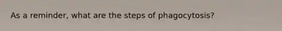 As a reminder, what are the steps of phagocytosis?