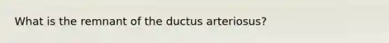 What is the remnant of the ductus arteriosus?