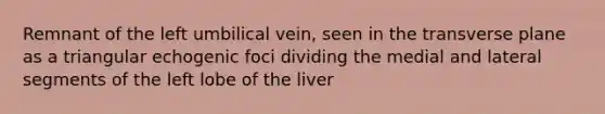 Remnant of the left umbilical vein, seen in the transverse plane as a triangular echogenic foci dividing the medial and lateral segments of the left lobe of the liver