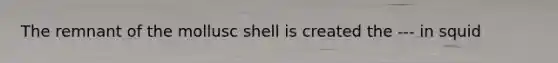 The remnant of the mollusc shell is created the --- in squid