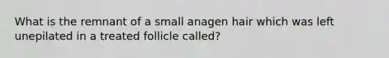 What is the remnant of a small anagen hair which was left unepilated in a treated follicle called?