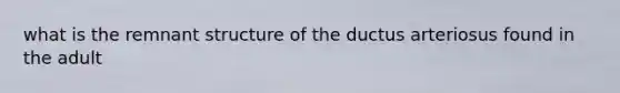 what is the remnant structure of the ductus arteriosus found in the adult