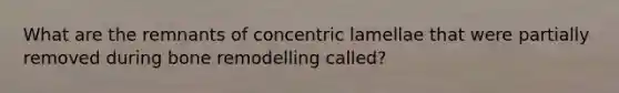 What are the remnants of concentric lamellae that were partially removed during bone remodelling called?