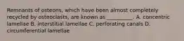 Remnants of osteons, which have been almost completely recycled by osteoclasts, are known as __________. A. concentric lamellae B. interstitial lamellae C. perforating canals D. circumferential lamellae
