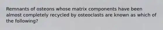 Remnants of osteons whose matrix components have been almost completely recycled by osteoclasts are known as which of the following?