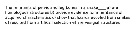 The remnants of pelvic and leg bones in a snake____ a) are homologous structures b) provide evidence for inheritance of acquired characteristics c) show that lizards evovled from snakes d) resulted from artificail selection e) are vesigial structures