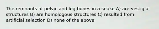 The remnants of pelvic and leg bones in a snake A) are vestigial structures B) are homologous structures C) resulted from artificial selection D) none of the above