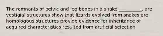 The remnants of pelvic and leg bones in a snake __________. are vestigial structures show that lizards evolved from snakes are homologous structures provide evidence for inheritance of acquired characteristics resulted from artificial selection