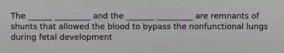 The ______ _________ and the _______ _________ are remnants of shunts that allowed the blood to bypass the nonfunctional lungs during fetal development