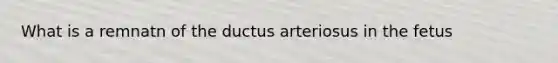 What is a remnatn of the ductus arteriosus in the fetus