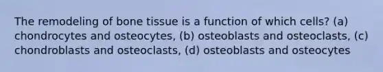 The remodeling of bone tissue is a function of which cells? (a) chondrocytes and osteocytes, (b) osteoblasts and osteoclasts, (c) chondroblasts and osteoclasts, (d) osteoblasts and osteocytes