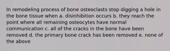 In remodeling process of bone osteoclasts stop digging a hole in the bone tissue when a. disinhibition occurs b. they reach the point where all remaining osteocytes have normal communication c. all of the cracks in the bone have been removed d. the primary bone crack has been removed e. none of the above