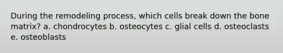 During the remodeling process, which cells break down the bone matrix? a. ​chondrocytes b. ​osteocytes c. ​glial cells d. ​osteoclasts e. ​osteoblasts